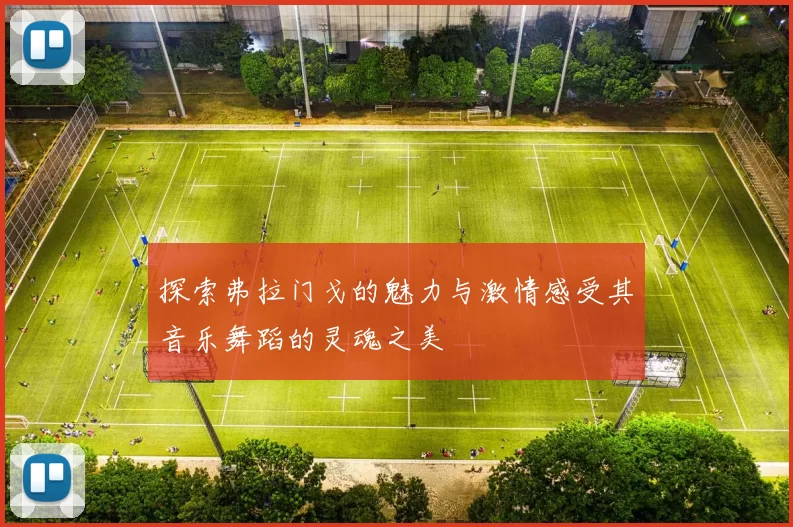 探索弗拉门戈的魅力与激情感受其音乐舞蹈的灵魂之美