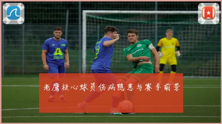 老鹰核心球员伤病隐患与赛季前景
