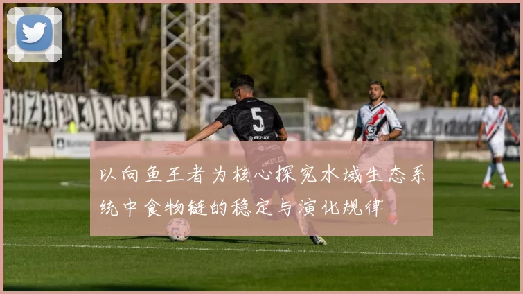 以向鱼王者为核心探究水域生态系统中食物链的稳定与演化规律
