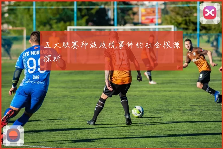 五大联赛种族歧视事件的社会根源探析