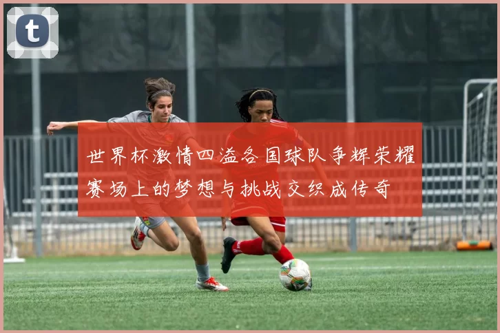 世界杯激情四溢各国球队争辉荣耀赛场上的梦想与挑战交织成传奇