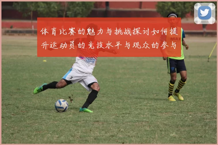 体育比赛的魅力与挑战探讨如何提升运动员的竞技水平与观众的参与感